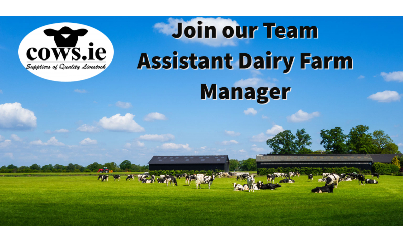 website-thumbnail-job-application-dairy-farm-assistant