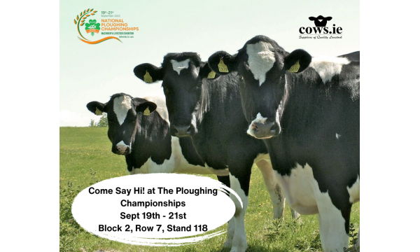 National Ploughing Championships - Sept 19th - 21st, Block 2, Row 7, Stand 118, come say Hi!!