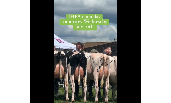 IHFA Open Day Wednesday 10th July