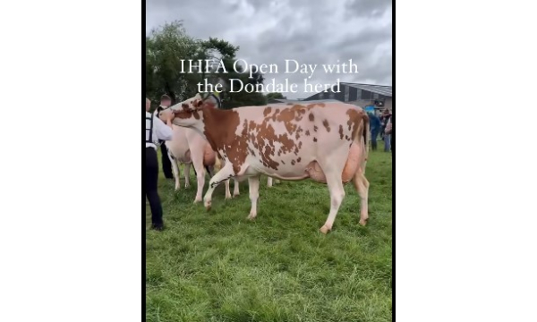 Open Day at Dondale Herd
