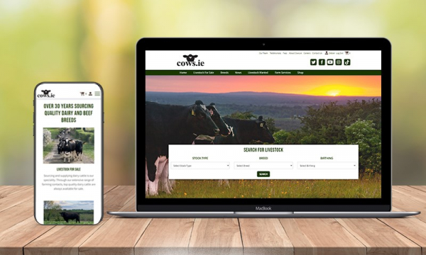 New Website For Cows.ie