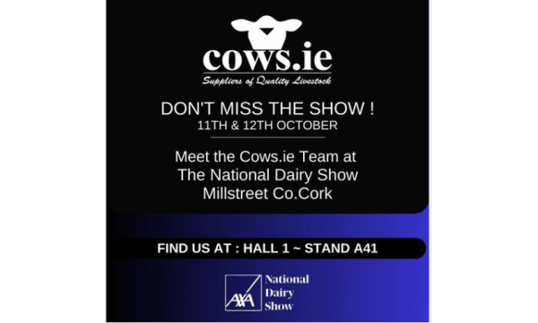 Meet the Cows.ie Team tomorrow and Saturday at the National Dairy Show in Millstreet, Co Cork.