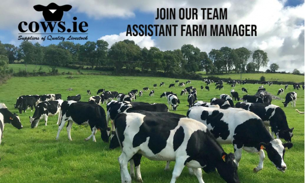 Join our Team - Assistant Farm Mananger